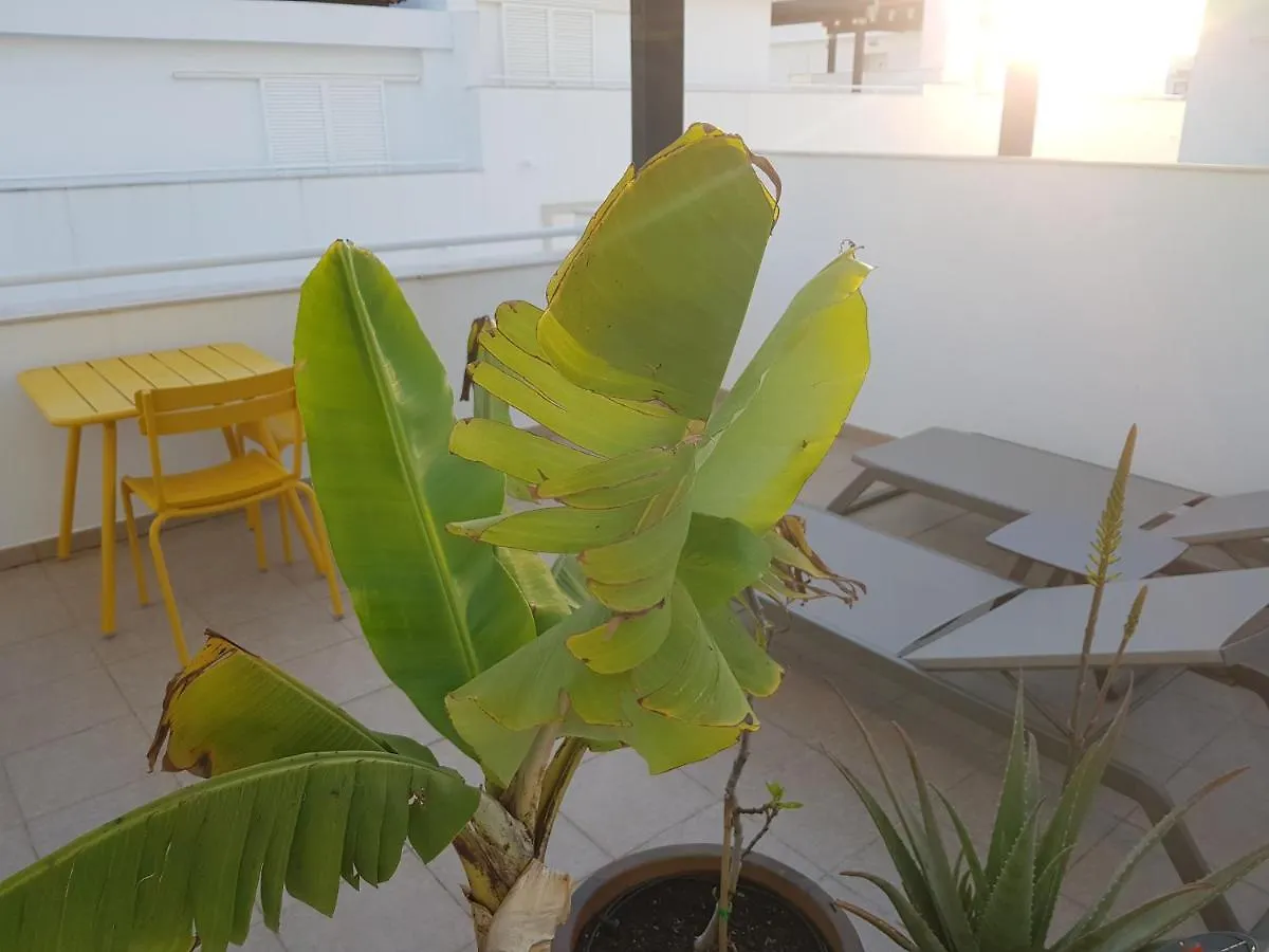 Penthouse Puro Apartment Cabanas De Tavira 0*,
